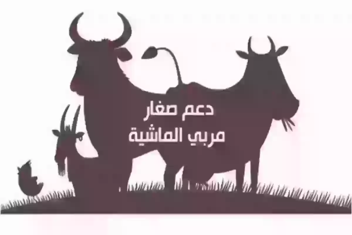 بدء إيداع دعم المواشي في هذا الموعد