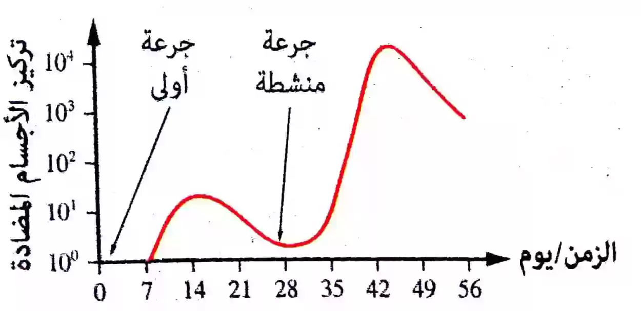 أي الاجسام التالية لايتسارع