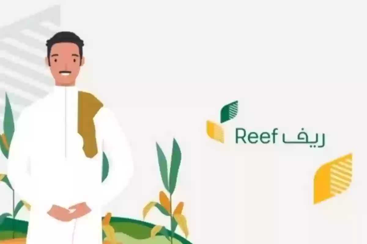 شروط الاستحقاق ورابط تسجيل الدخول دعم ريف 2024  reef.gov.sa