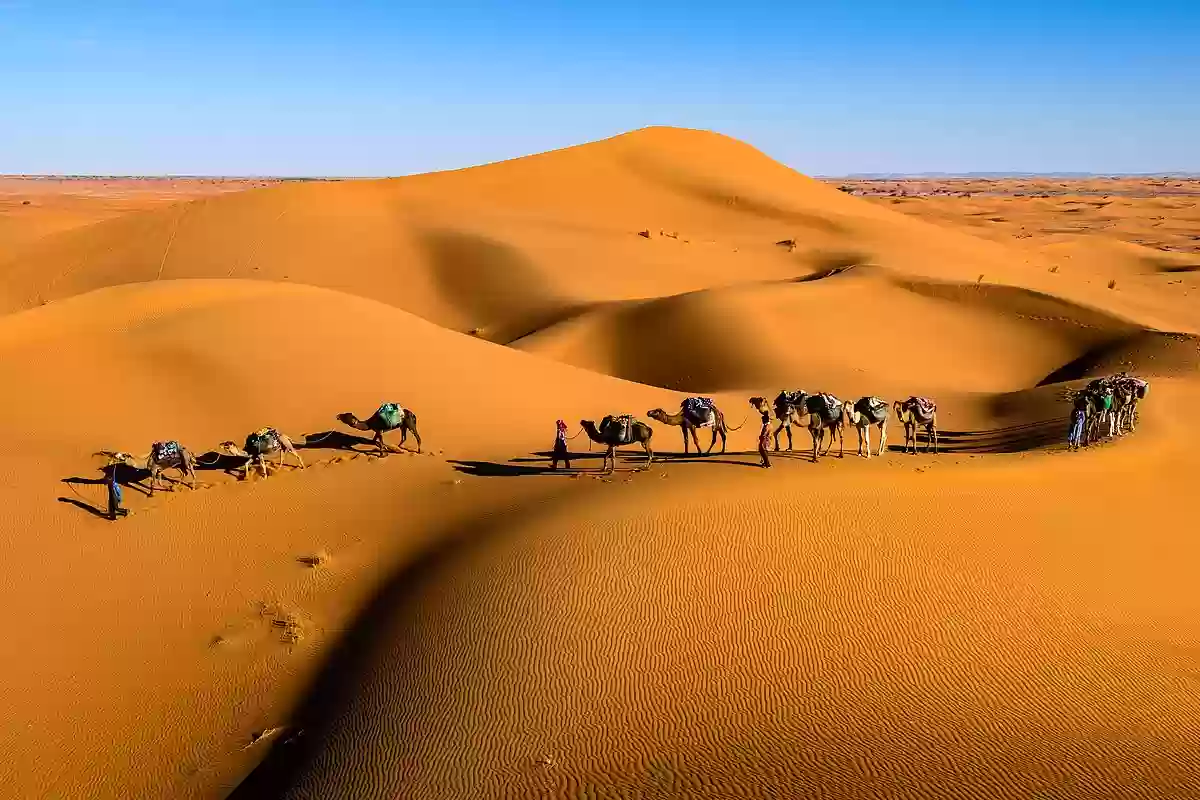 أسماء قبائل بعدان ونسب قبيلة البعداني