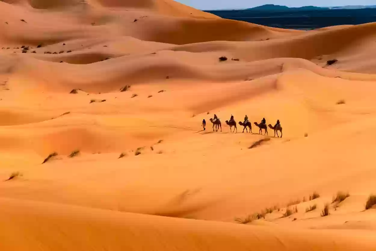 الفوزان وش يرجعون؟ أصل وديرة الفوزان