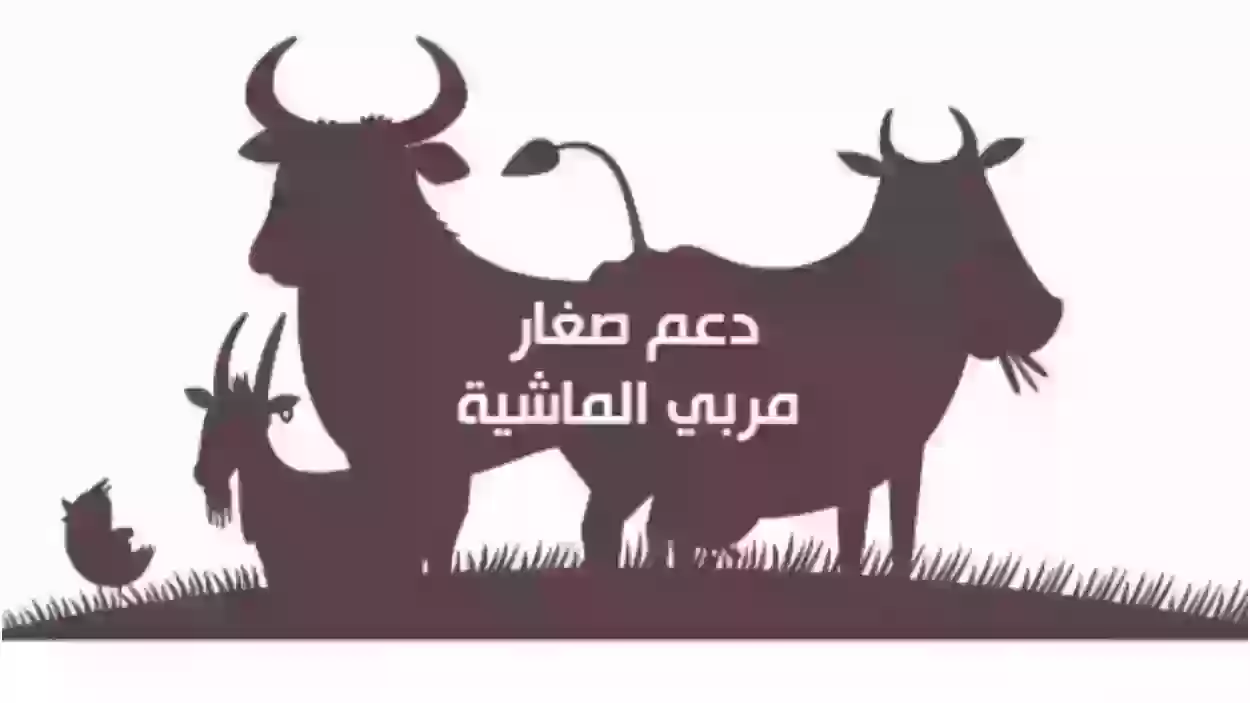 كيف ادخل على حسابي في دعم المواشي