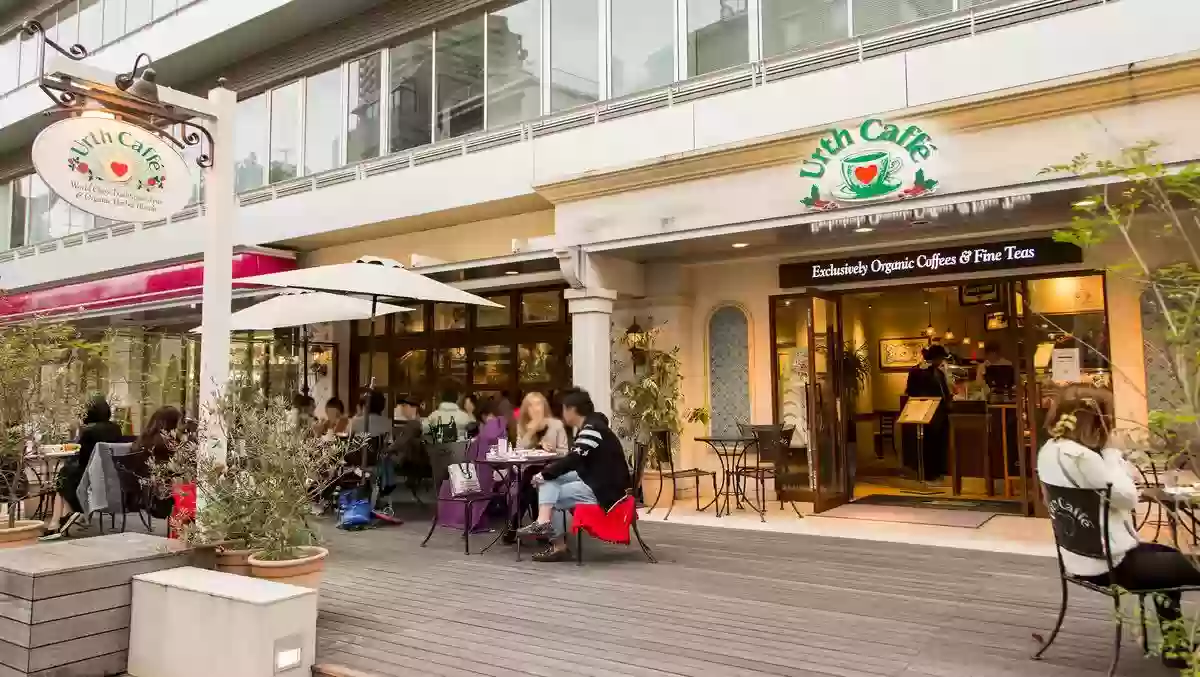 urth caffe منيو مع الأسعار وأفضل العروض وأماكن الفروع