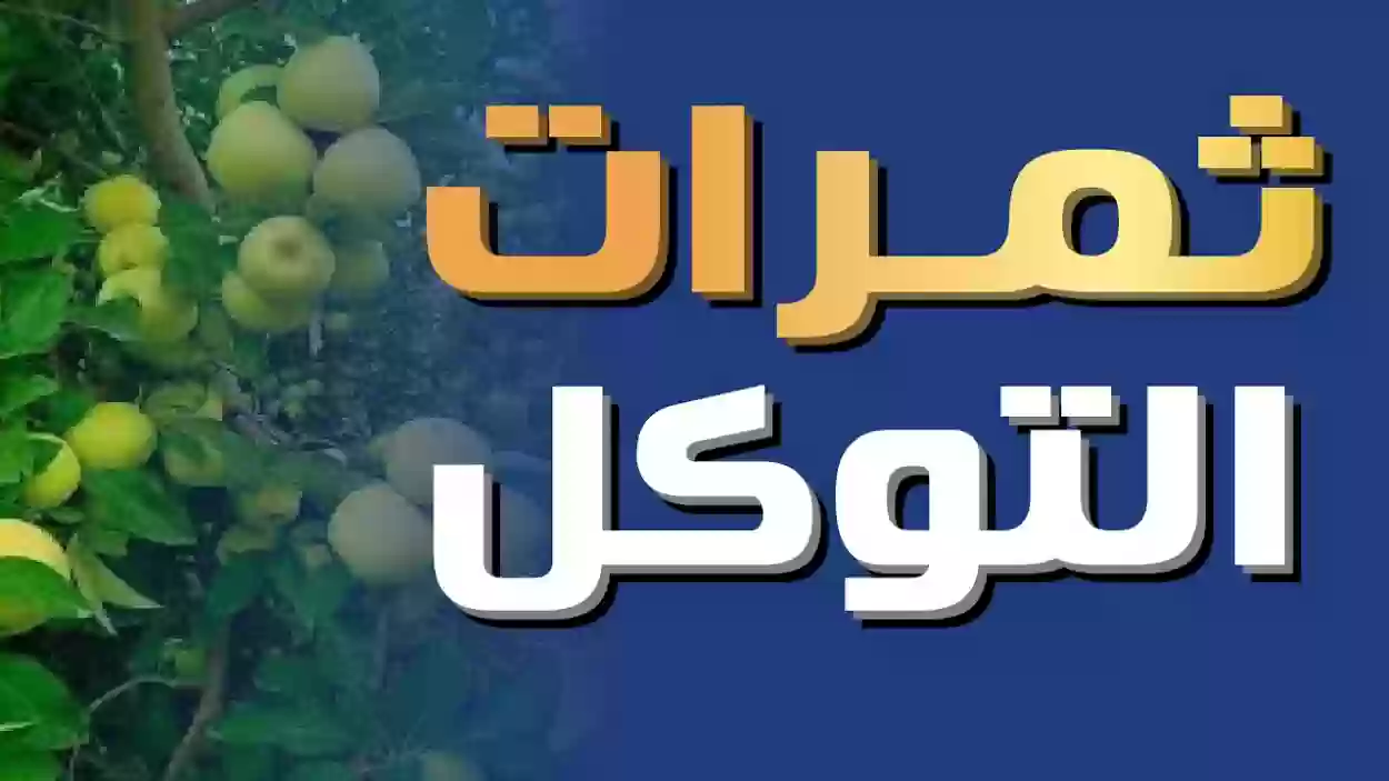 للتوكل على الله ثمرات عدة .. تعرف عليها